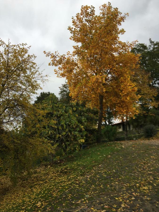 Willa Quinta De Silharezes, Lda Ponte da Barca Zewnętrze zdjęcie